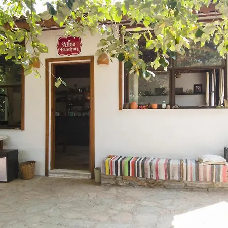 Alice Mountain House * Selcuk