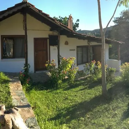 Alice Mountain House *