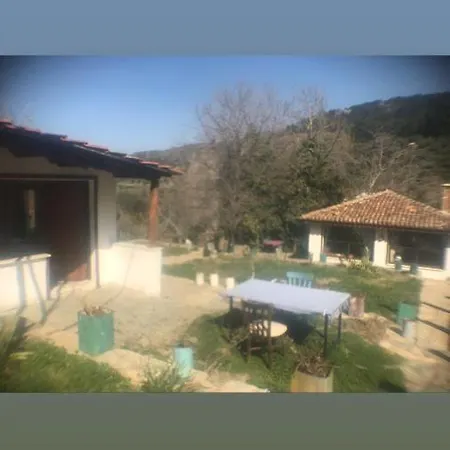 Alice Mountain House Homestay *