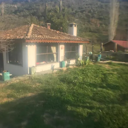 Homestay Alice Mountain House