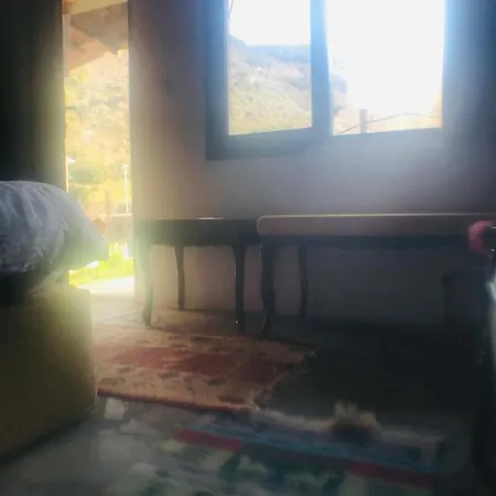 Alice Mountain House Homestay *