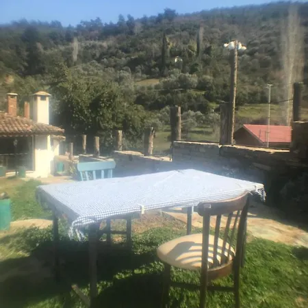 Alice Mountain House