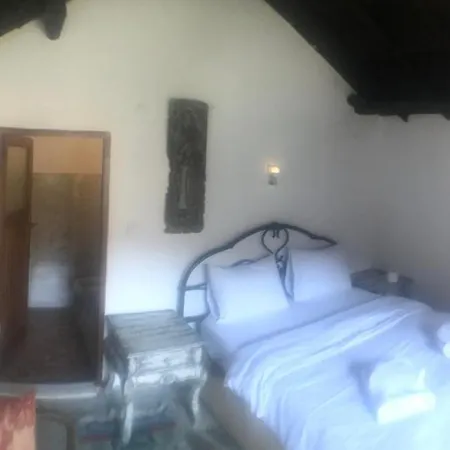 Alice Mountain House Homestay *