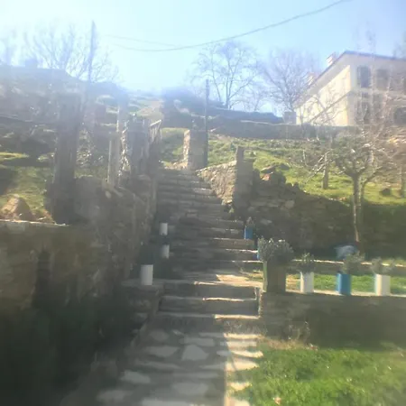 Alice Mountain House