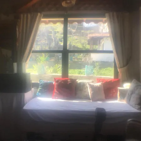 Alice Mountain House
